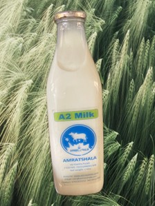 A2 Gir Cow Milk