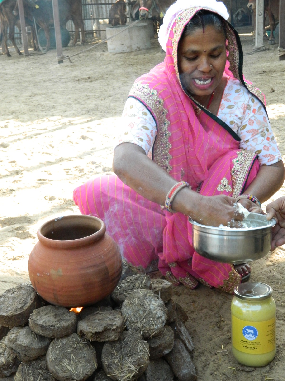 Amratshala Gir cow photo 12